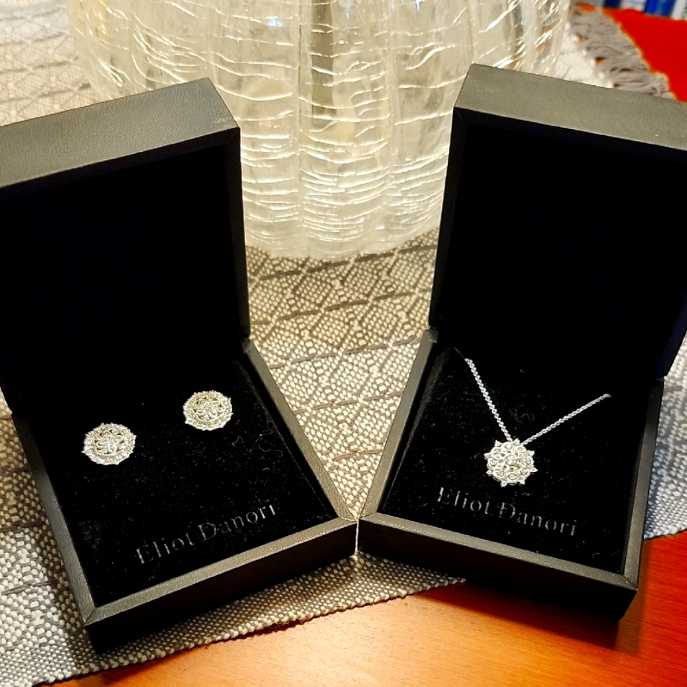 New In Box Eliot Danori Necklace & Earrings Set